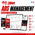 Facebook/Instagram Ads Management